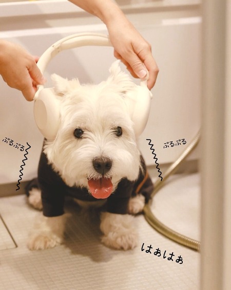 24-07-27-09-02-48-851_deco