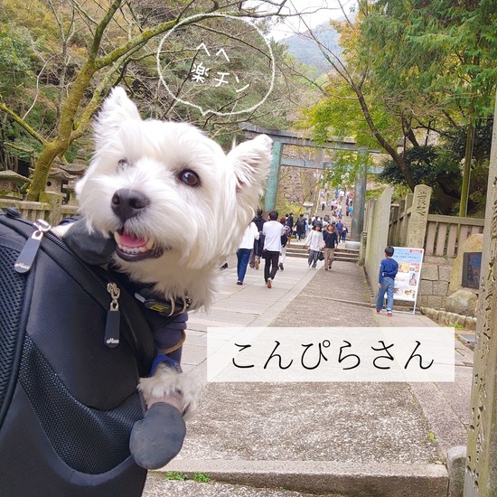 【香川の旅】こんぴらさん