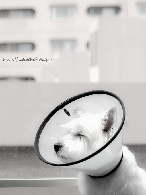 18-06-08-13-44-38-229_deco