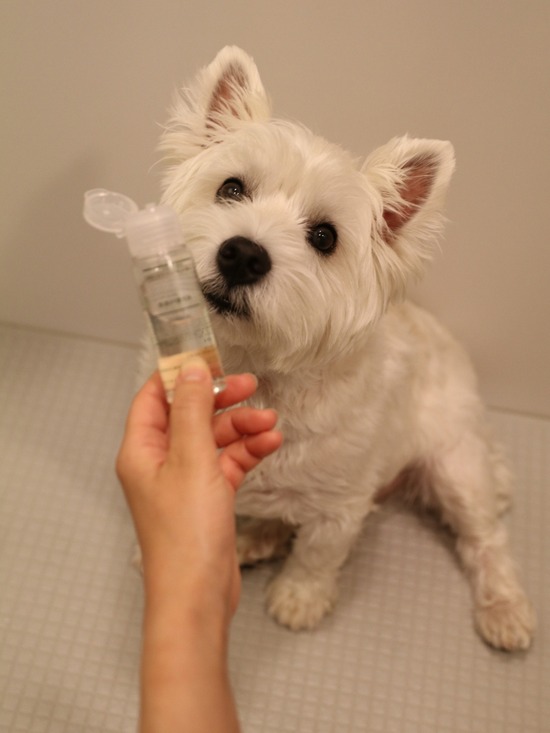 20210923113836_IMG_3222