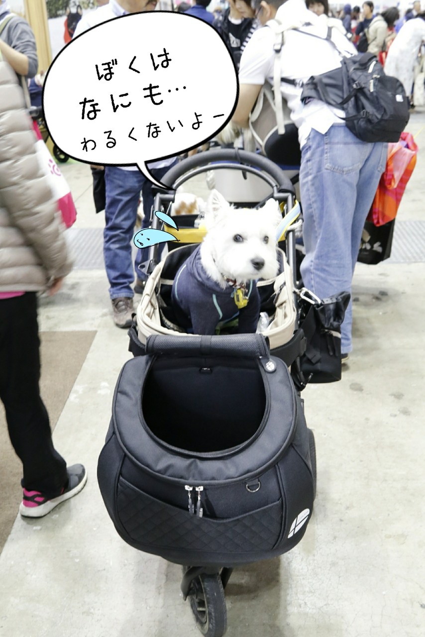 daisuki ペット用リュック型キャリーバッグ - 犬用品