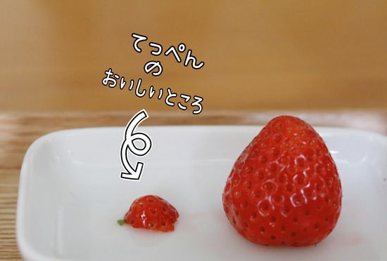 22-04-11-10-20-14-770_deco