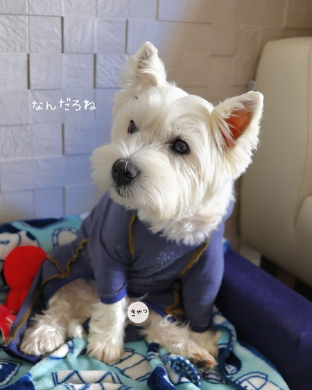 25-11-17-09-56-38-760_deco