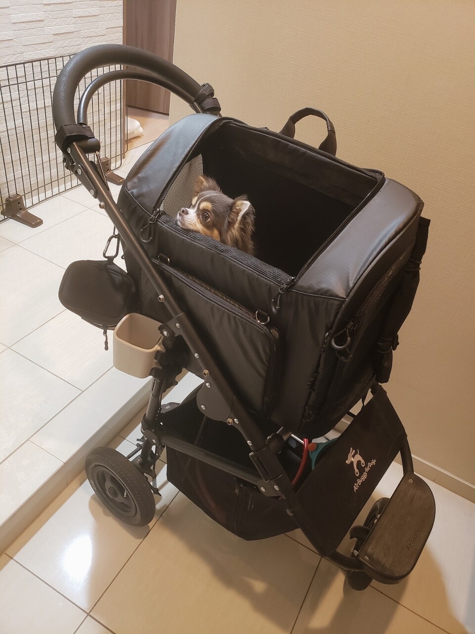 妄想 少し大きい犬が新幹線に乗る方法を考える たかシェフのおうちごはん と 白い犬 と チワワ Powered By ライブドアブログ 妄想 少し大きい犬が新幹線に乗る方法を考える たかシェフのおうちごはん と 白い犬 と チワワ Powered By ライブドアブログ