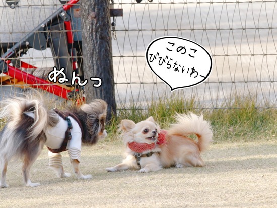 21-12-02-14-10-16-092_deco