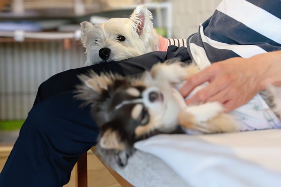 24-07-26-09-36-45-663_deco