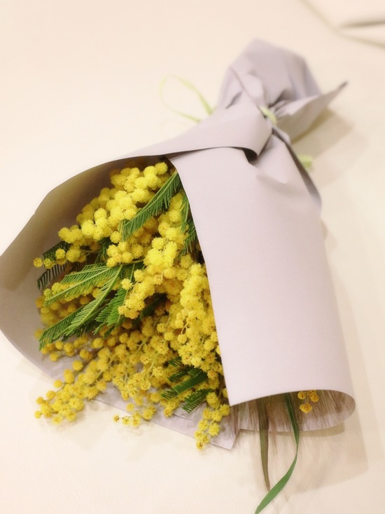 【日記】ミモザの日