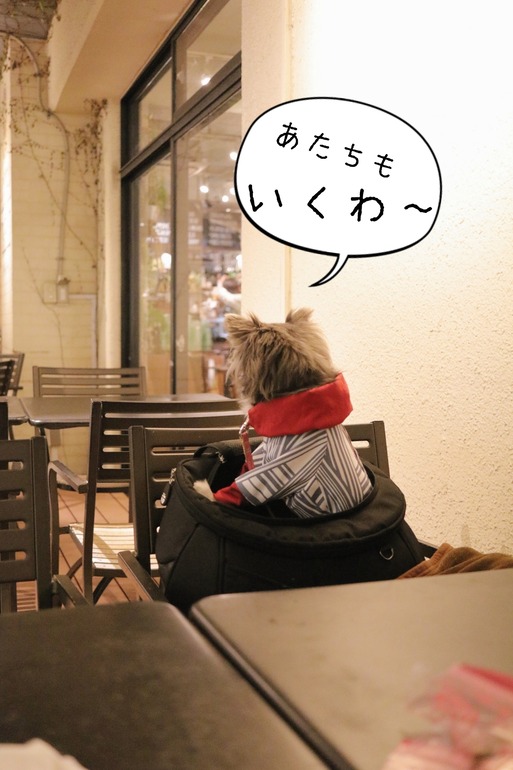 20-01-09-20-14-55-391_deco