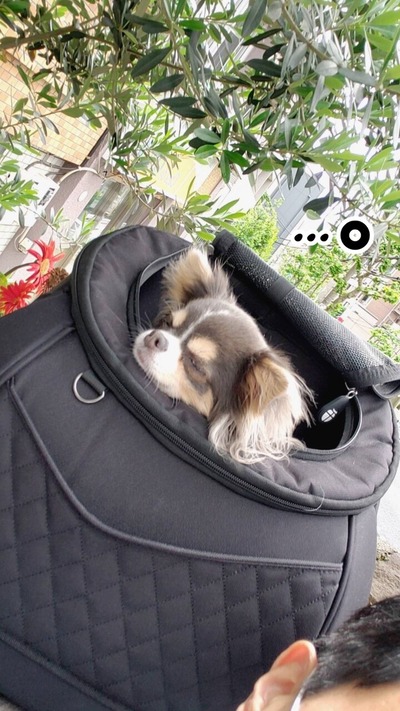 21-05-06-16-27-56-049_deco