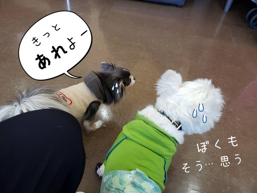 20-01-31-10-14-15-687_deco