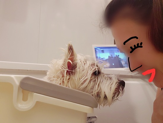 21-05-07-20-18-22-673_deco