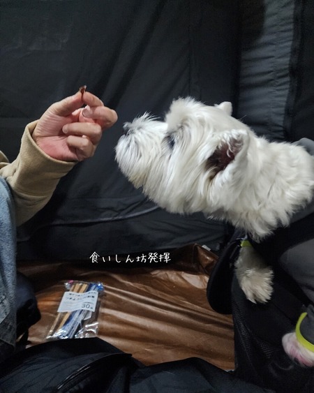 25-11-27-13-31-30-313_deco