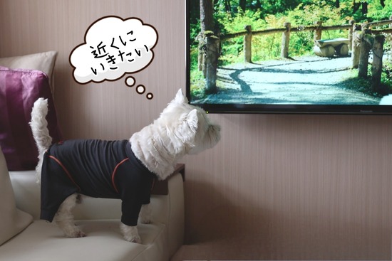 24-06-07-20-13-23-170_deco