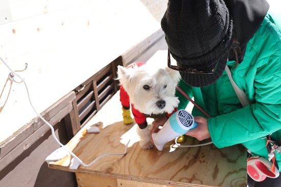 20220224133115_3A7A3339