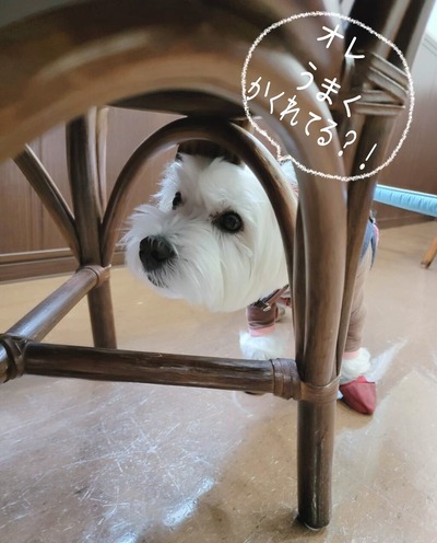 22-06-14-19-24-03-787_deco