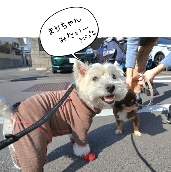 24-03-15-17-28-14-650_deco