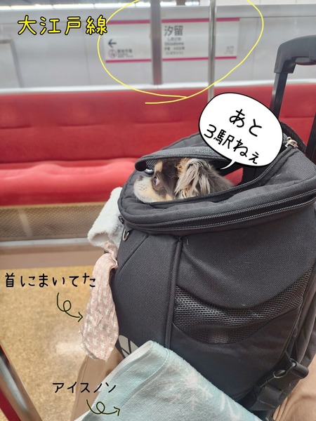 24-07-25-20-14-52-089_deco