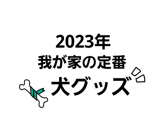 2023年使っていた犬グッズ