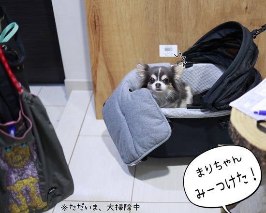 25-12-30-07-11-14-257_deco