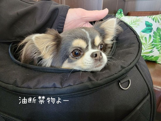 22-03-24-14-33-12-052_deco