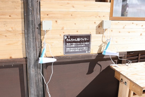 20220224132912_3A7A3334