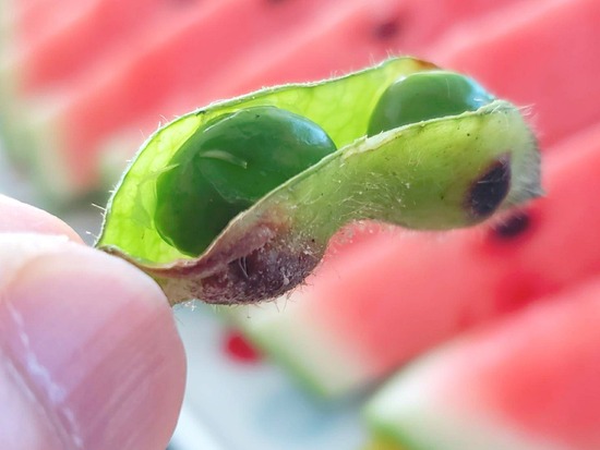 21-08-30-16-05-38-999_deco