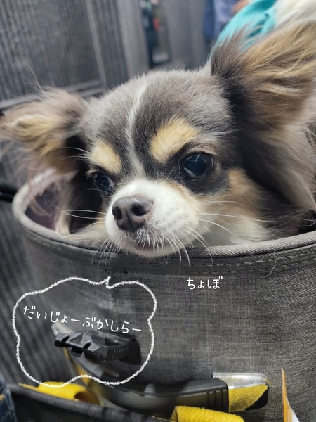 22-10-13-18-47-59-448_deco