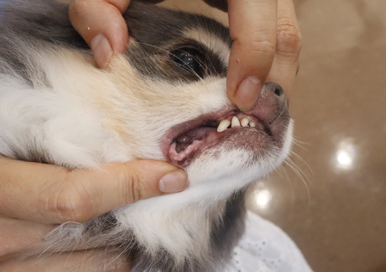 24-07-18-14-14-59-027_deco