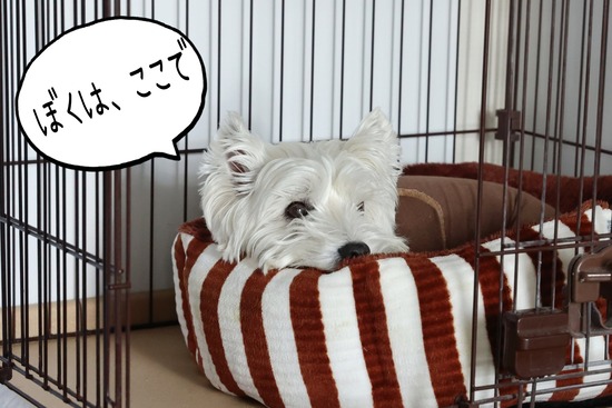 22-03-14-09-03-21-596_deco