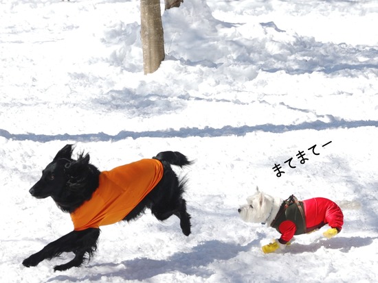 22-03-01-12-51-23-488_deco