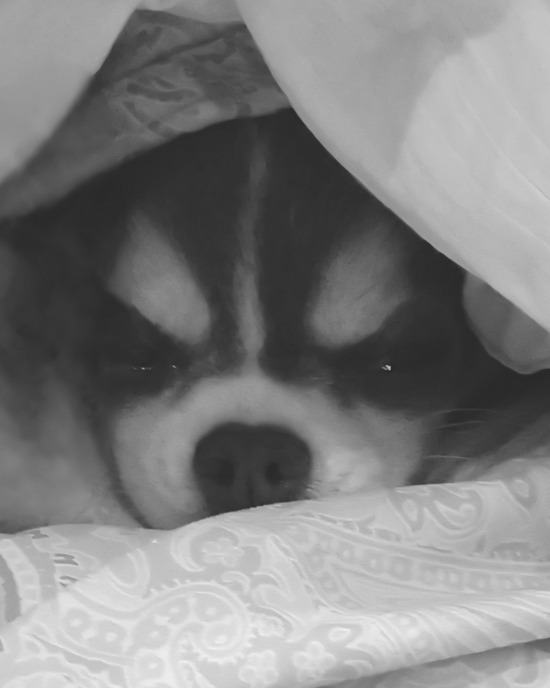 無事、生還できたでしょーか？