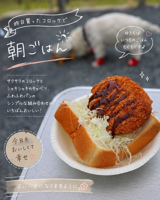 【旅？】夜ごはん＆あさごはん