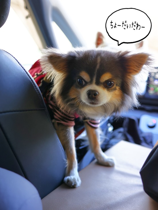 26-02-01-09-37-35-638_deco