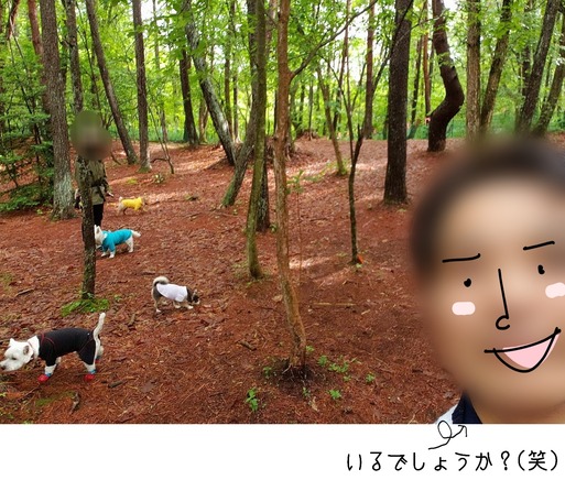 20190621_142349