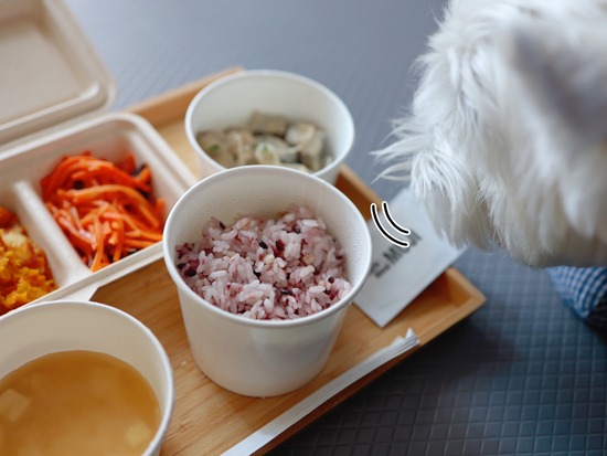 26-01-06-11-49-58-011_deco