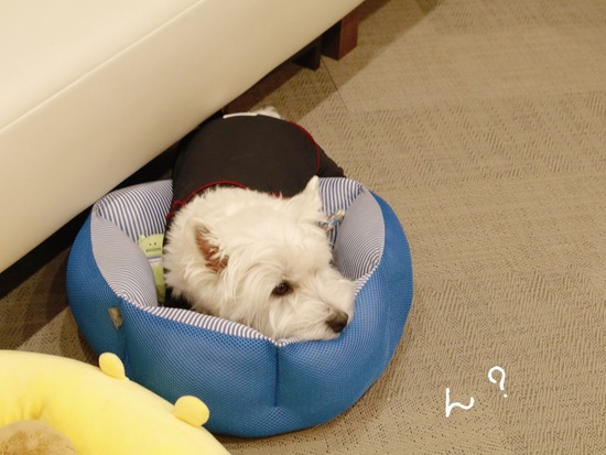 21-10-12-07-24-41-860_deco