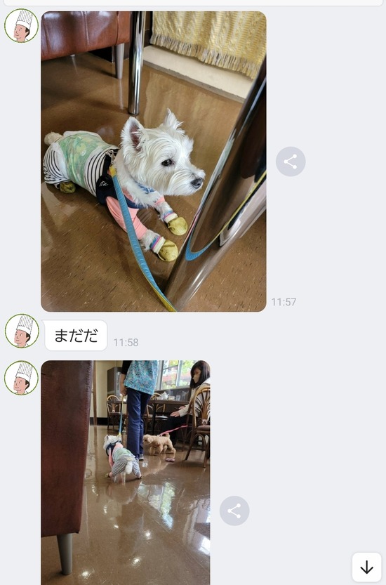 22-04-23-09-34-27-736_deco