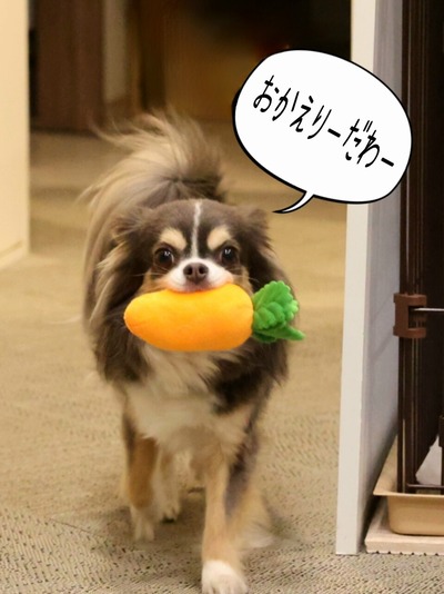 22-05-14-10-12-13-959_deco