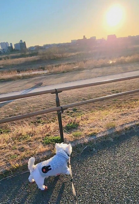 二子玉川公園にいく。まずは、たのしー編