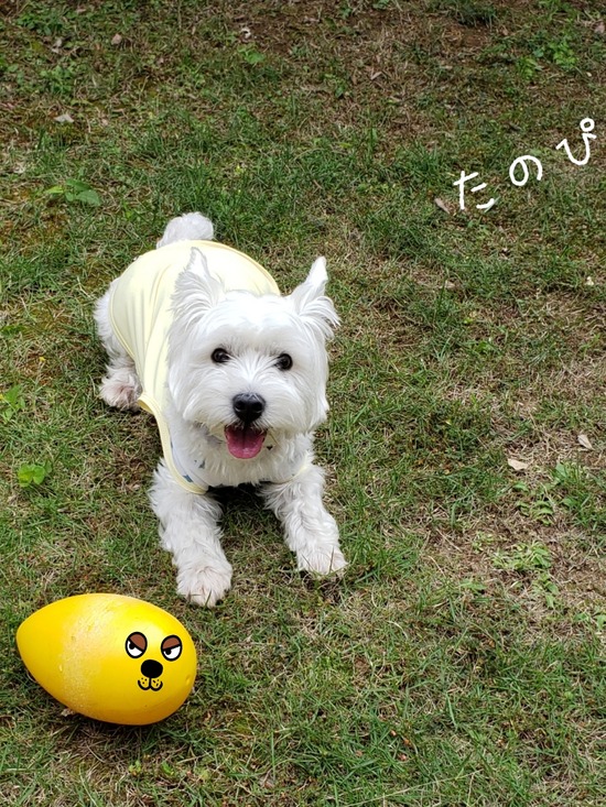 21-05-29-00-28-22-983_deco