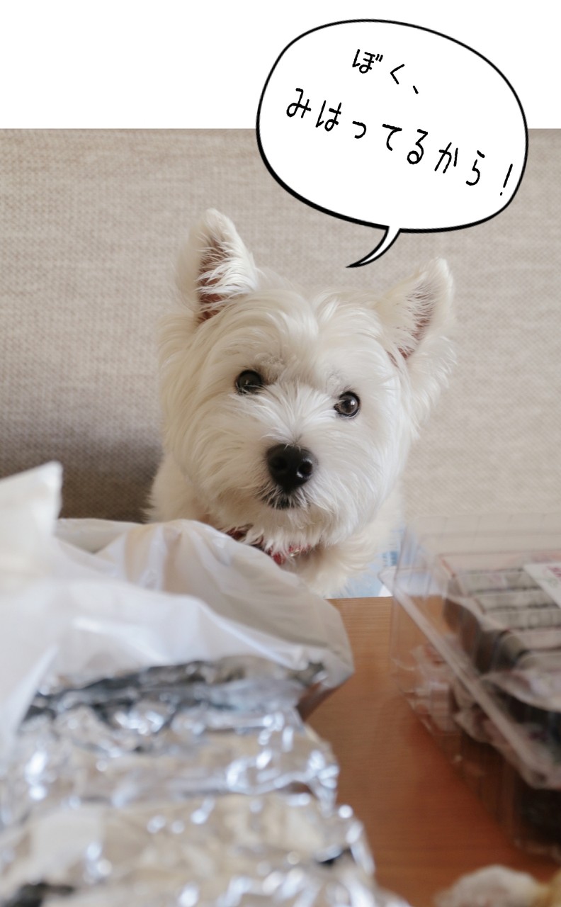 日記 犬 極寒 と バーベキュー準備と その時をねらう犬 たかシェフのおうちごはん と 白い犬 と チワワ Powered By ライブドアブログ 日記 犬 極寒 と バーベキュー準備と その時をねらう犬 たかシェフのおうちごはん と 白い犬 と チワワ Powered By ライブドアブログ