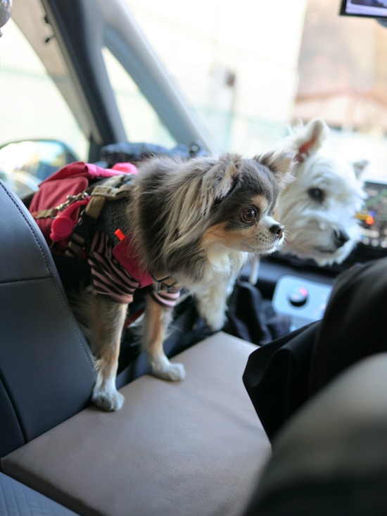 26-02-01-09-43-54-474_deco