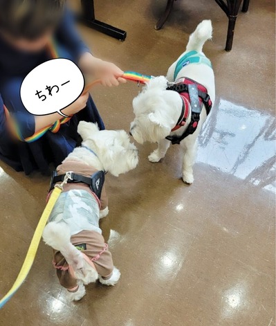 22-06-14-19-33-39-005_deco