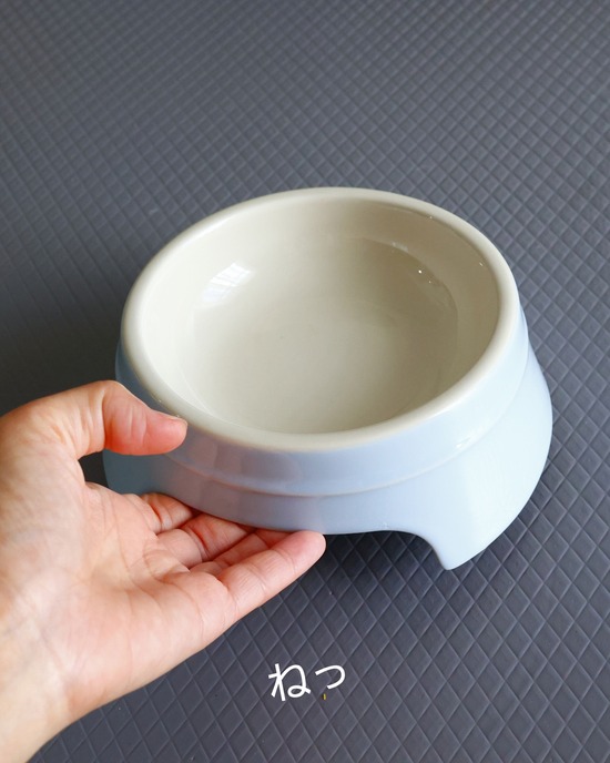 【コストコ購入品】ストウブの犬用食器レビュー｜手作りごはんに最適な浅くて広いボウル