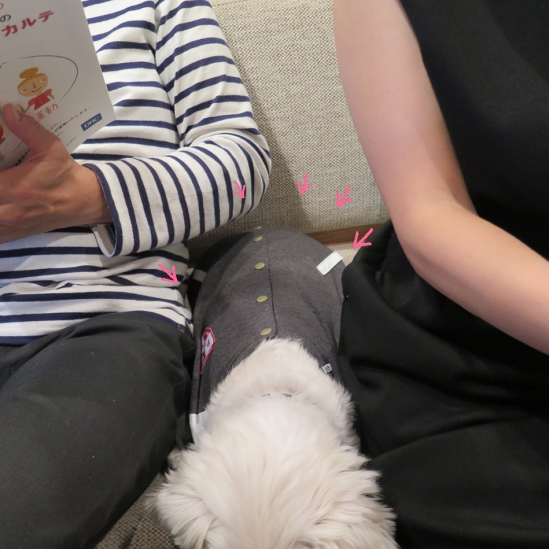 【日記】遺伝子検査