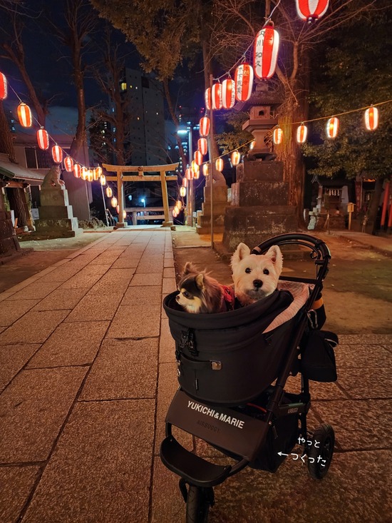 26-01-09-06-15-45-388_deco