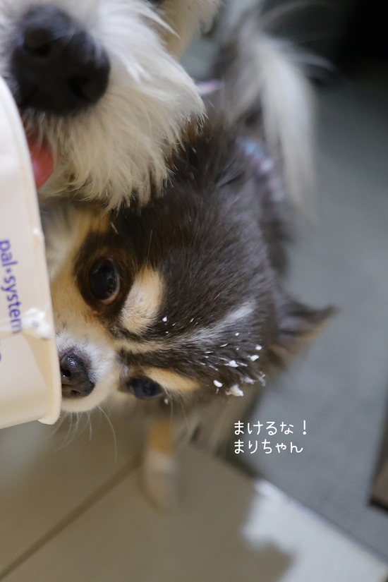 25-12-17-19-04-49-721_deco