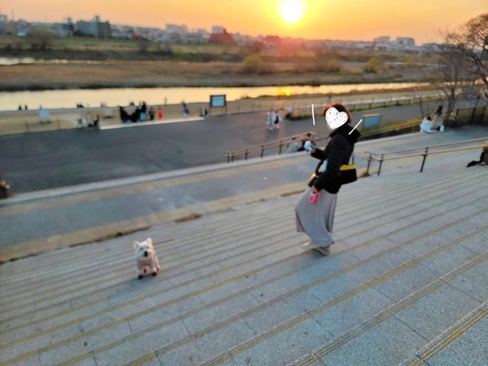 リベンジの二子玉川公園さんぽ