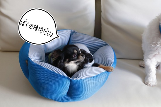 21-10-12-08-06-37-770_deco