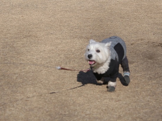 21-03-11-04-31-19-159_deco